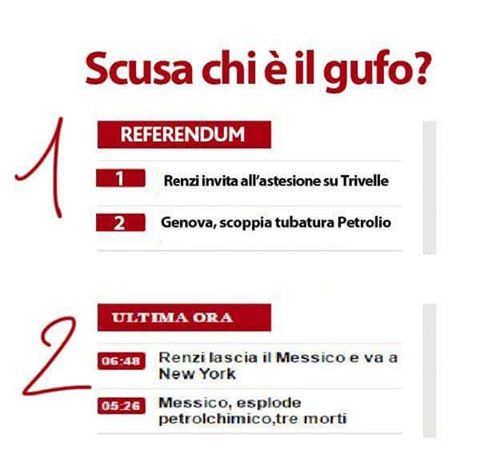 gufo.jpg